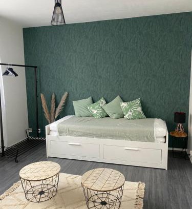 Faubourg-Raines Apartment | Le petit Canal de Bourgogne : Joli studio au centre Dijonnais