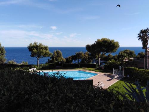 Saint-Mandrier-sur-Mer Apartment | Le petit havre de mer