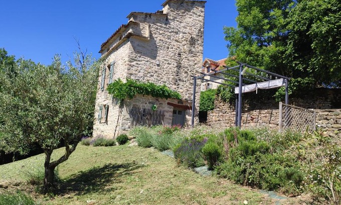 Caylus House | Le pigeonnier de felines