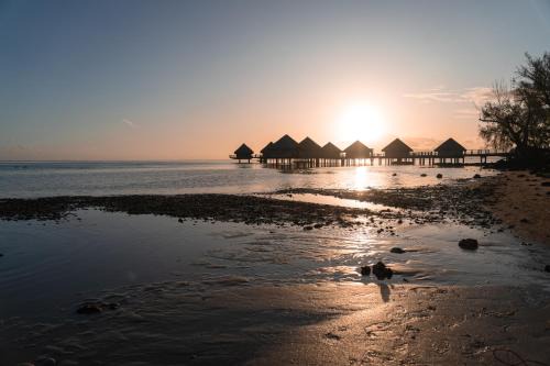 Punaauia Apartment | Le Rêve Tropical proximité plage et commerces