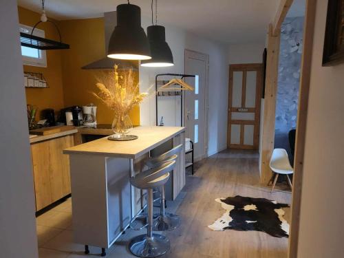 Vic-sur-Cere Apartment | Le randonneur