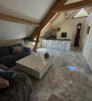 Degagnac Apartment | Le ROSSIGNOL APPARTEMENT MET AIRCO & PRIVE TERRAS