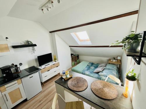 Abbeville Apartment | Le Studieux Abbevillois