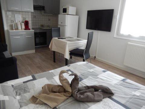 Illkirch-Graffenstaden Apartment | Le Studio Sam
