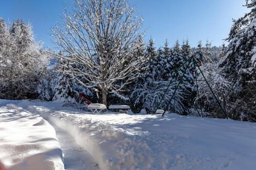 Villard-de-Lans Apartment | Le Tintinnabule
