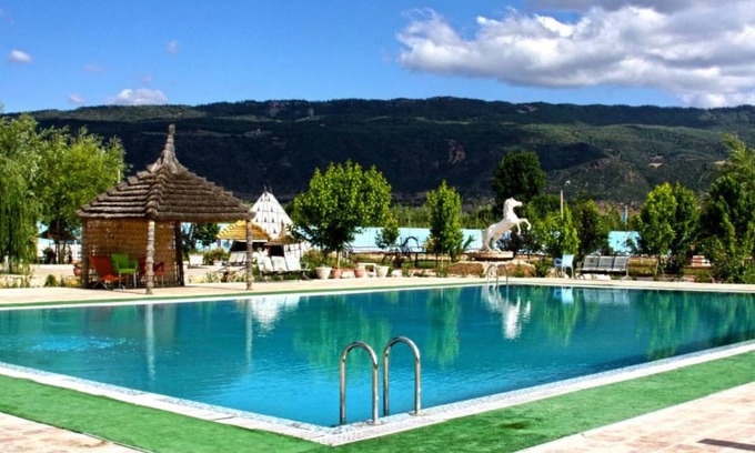 Tigrigra Other | Le Vallon Vert - Club Équestre