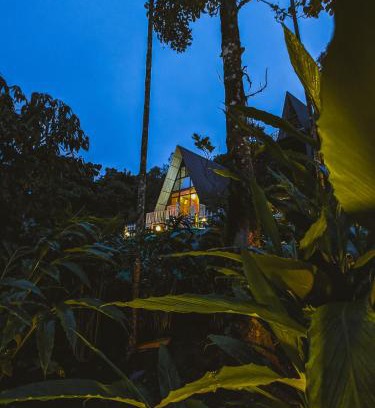 Elappara House | Leaf Mist Vagamon