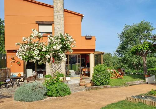 Monforte de Lemos House | leiradaporta