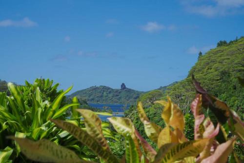 Huahine House | Lemon House