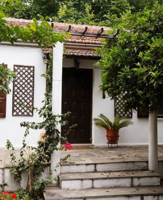 Horto House | Lemon Tree House