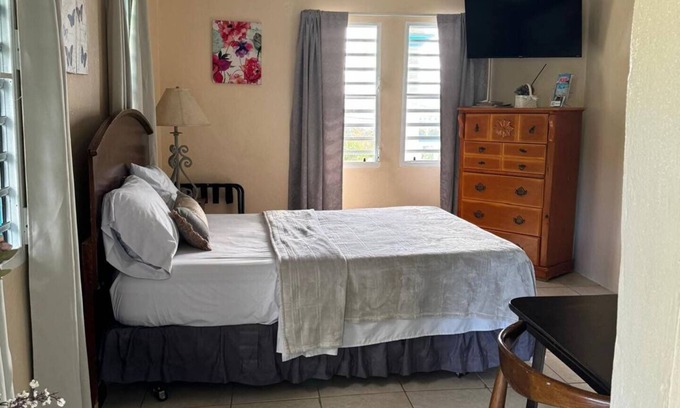 Estate Lower John Dunko Apartment | Lemongrass – New Loft - Downtown/Sea View - Perfect Location