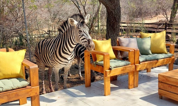 Marloth Park House | Lenny's Den - bordering Kruger National Park