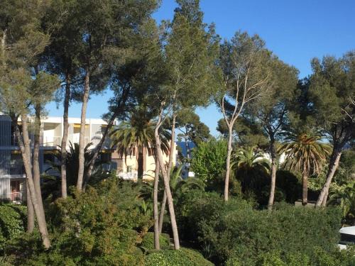 Boulouris-sur-Mer Apartment | Les Anthemis- Bord de mer