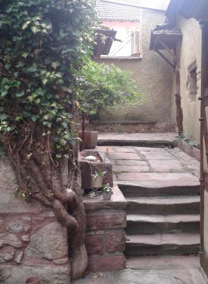 Bergheim Apartment | Les Apparts du Gewur'z
