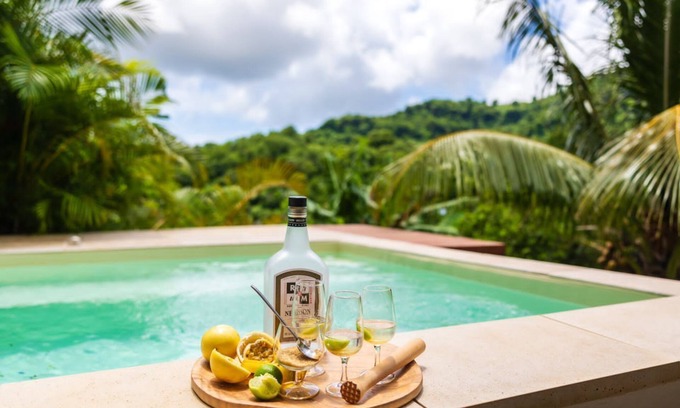 Le Francois House | Les Bungalows de la Sucrerie, spacious, quiet, Bac à Punch, near southern beaches
