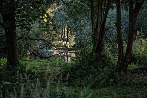 La Madelaine-sous-Montreuil Bed & Breakfast | Les Cabanes Des Marais