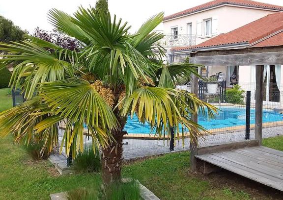 Chalain Bed & Breakfast | Les Etoiles du mont d'Uzore