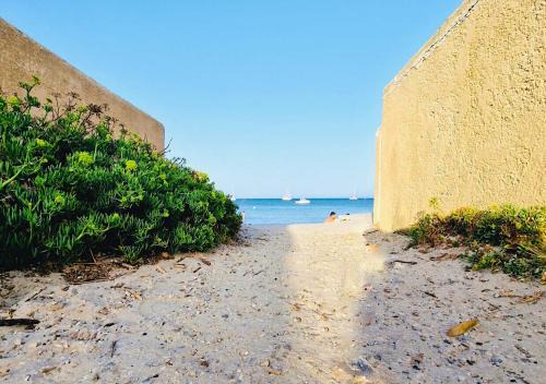 La Capte Apartment | Les flamants Roses la Capte Clim 4pers 100m plage
