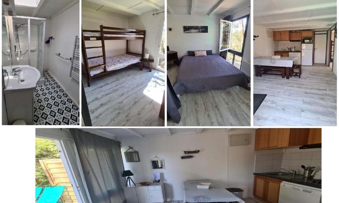 Leon Resort | Les fougères A81 Les villages sous les pins LEON 40550