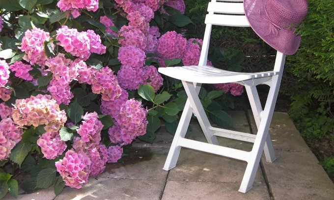 Saint-Philippe Apartment | LES HORTENSIAS