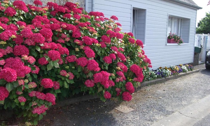Saint-Laurent-sur-Mer Apartment | Les Hortensias 26