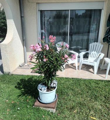 Bleriot-Plage Apartment | Les Hortensias