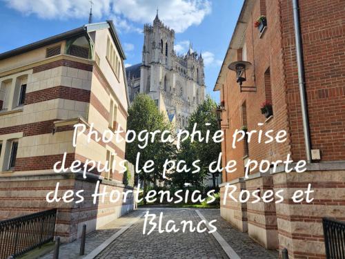 Saint-Leu Apartment | Les Hortensias Roses Duplex