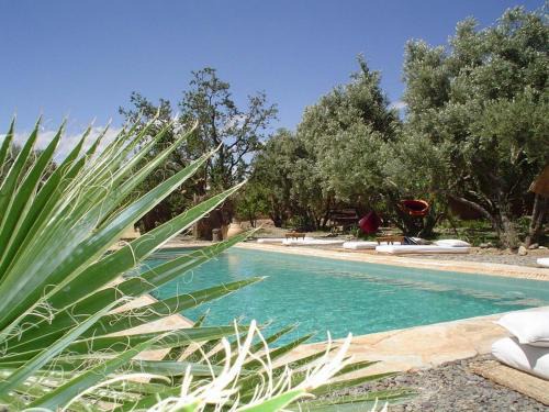 Skoura Bed & Breakfast | Les Jardins de Skoura