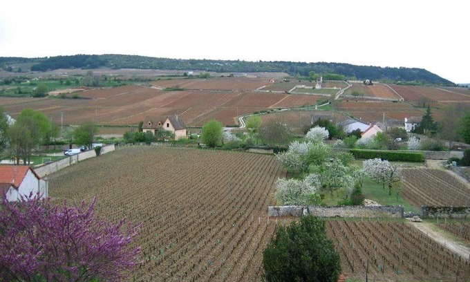 Meursault House | Les Meix sous le Château