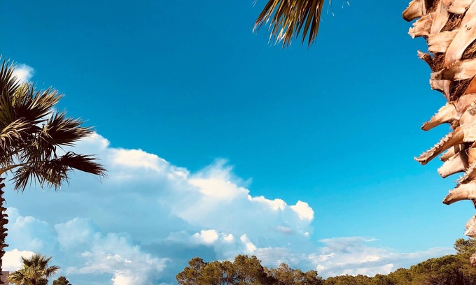 La Bouverie Apartment | Les Parasols d'Argens