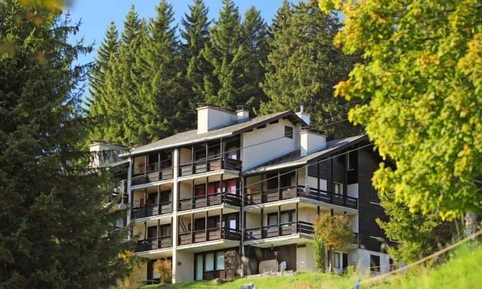 Gryon Apartment | Les Petites Maraîches 132/389 by Interhome