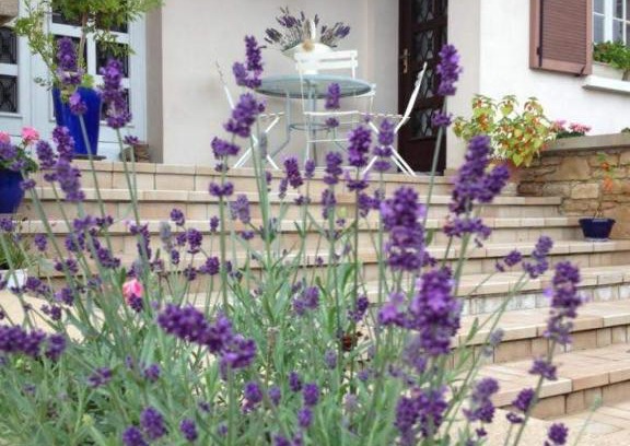Nuits-Saint-Georges House | Les portes du vignoble