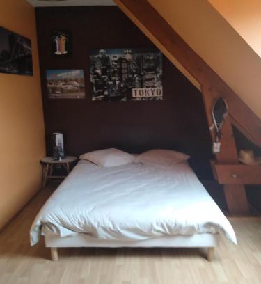 Teloche House | Les stands