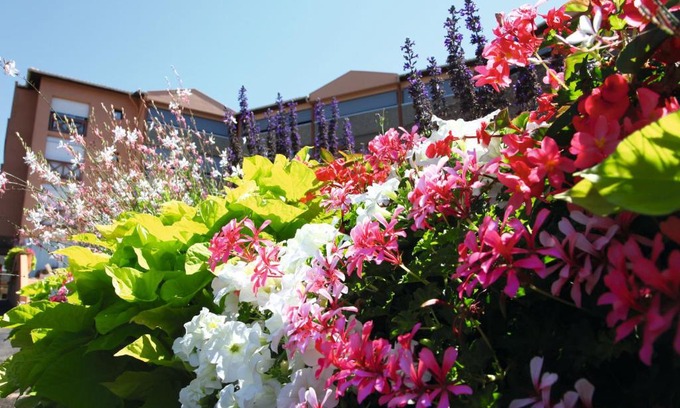 Dax Resort | LES TERRASSES DE BORDA***