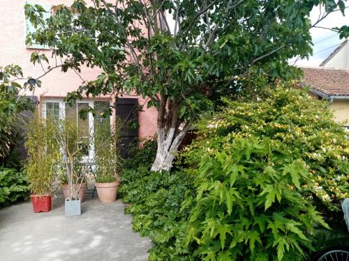 Esperaza Bed & Breakfast | Les Toiles du Figuier