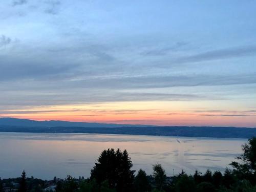 Evian-les-Bains Apartment | Les Vies en Rose
