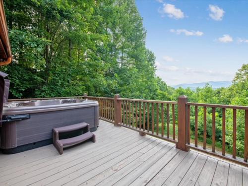 Mineral Bluff House | License 2 Chill