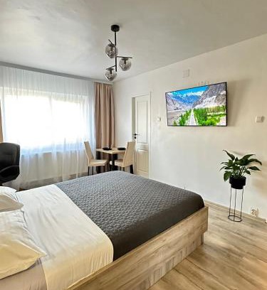 Timisoara Apartment | Lili Apartment