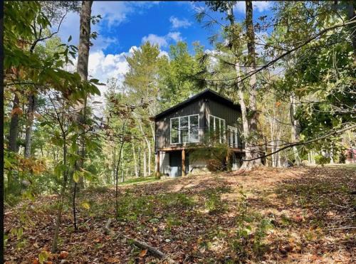 Nimitz Apartment | Lily Pad at Nimitz - Private 19 Acre Cabin with Fire Pit & WiFi