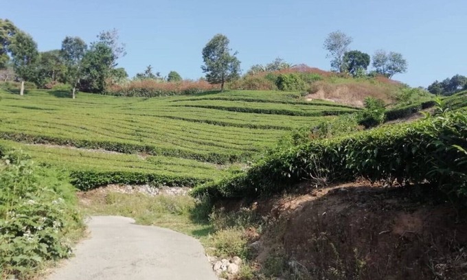 Devikolam House | Linten Holiday Resort, Property Set in Munnar.4.7km from MUNNAR Town