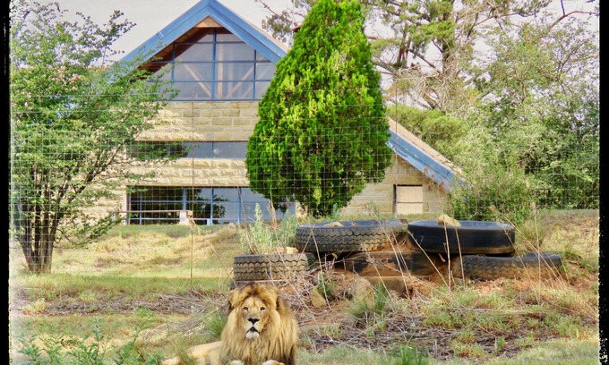Harrismith House | Lion Lodge @ggconservation