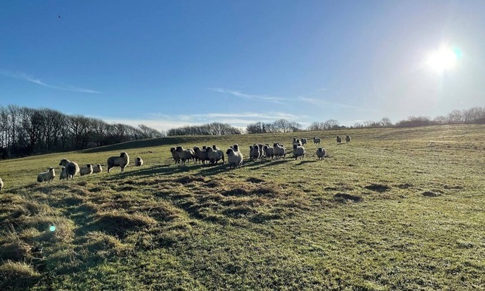 Kingston House | Little Barn Escape: Serene Getaway with Scenic Views of Corfe Castle