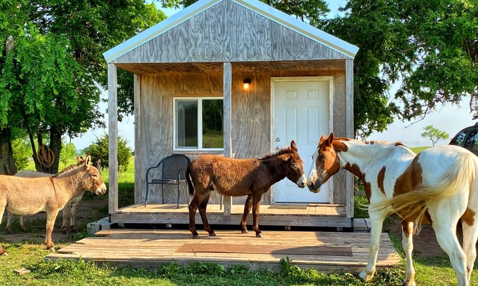 Lawton House | Little Cabin at the DonkeyRanch