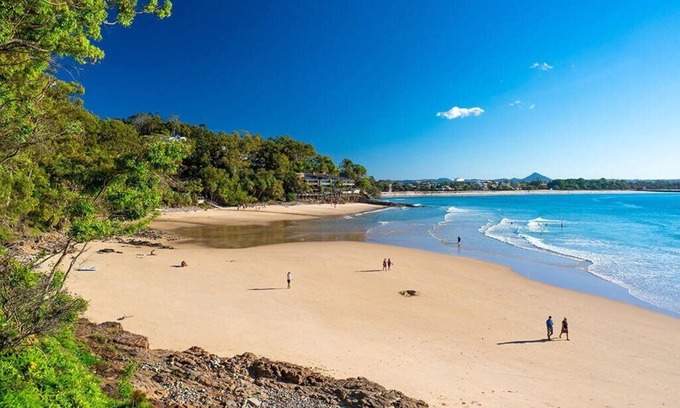 Noosa Heads House | Little Cove Gem - Tristania1
