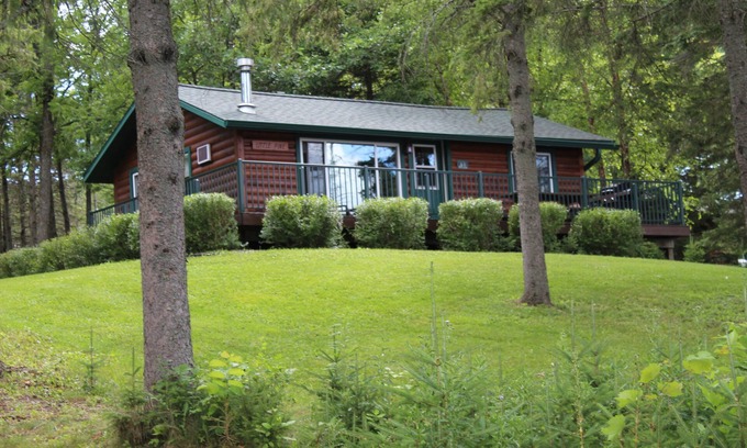 Birchwood Cabin | Little Pine Cabin; a charming retreat for couples