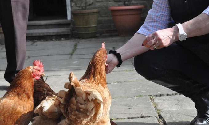Wadhurst Bed & Breakfast | Little Tidebrook Farm
