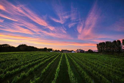 Pontyclun Hotel | Llanerch Vineyard Hotel