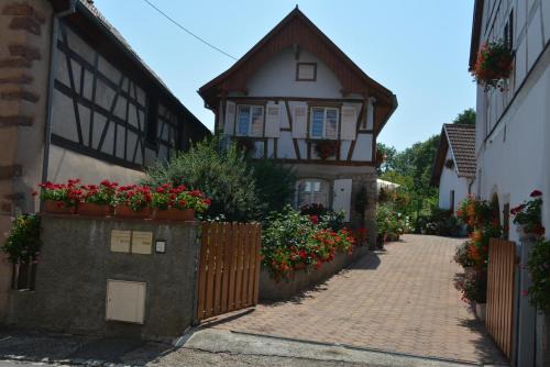 Ottrott House | Location Alice