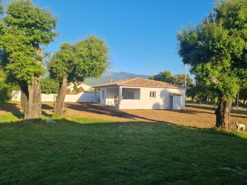 Morta Apartment | Location "Casa Monna"