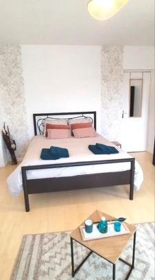 Albi Bed & Breakfast | Location chambre spacieuse avec balcon et piscine